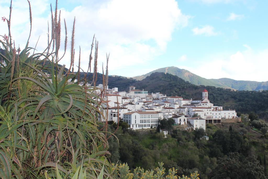 Casas Rurales Jardines Del Visir Genalguacil Buitenkant foto