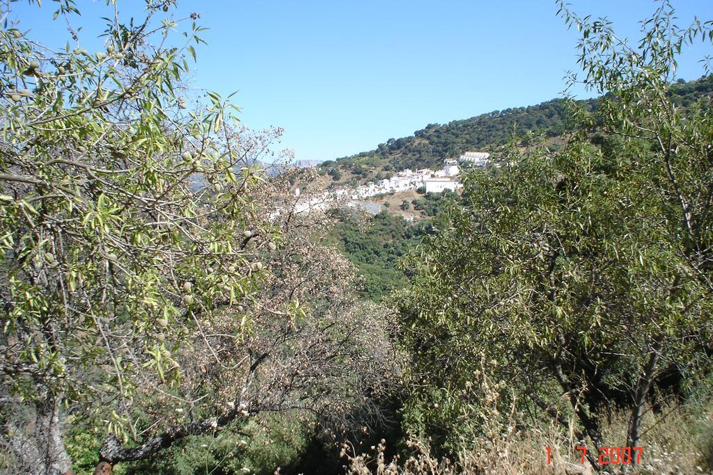 Casas Rurales Jardines Del Visir Genalguacil Buitenkant foto
