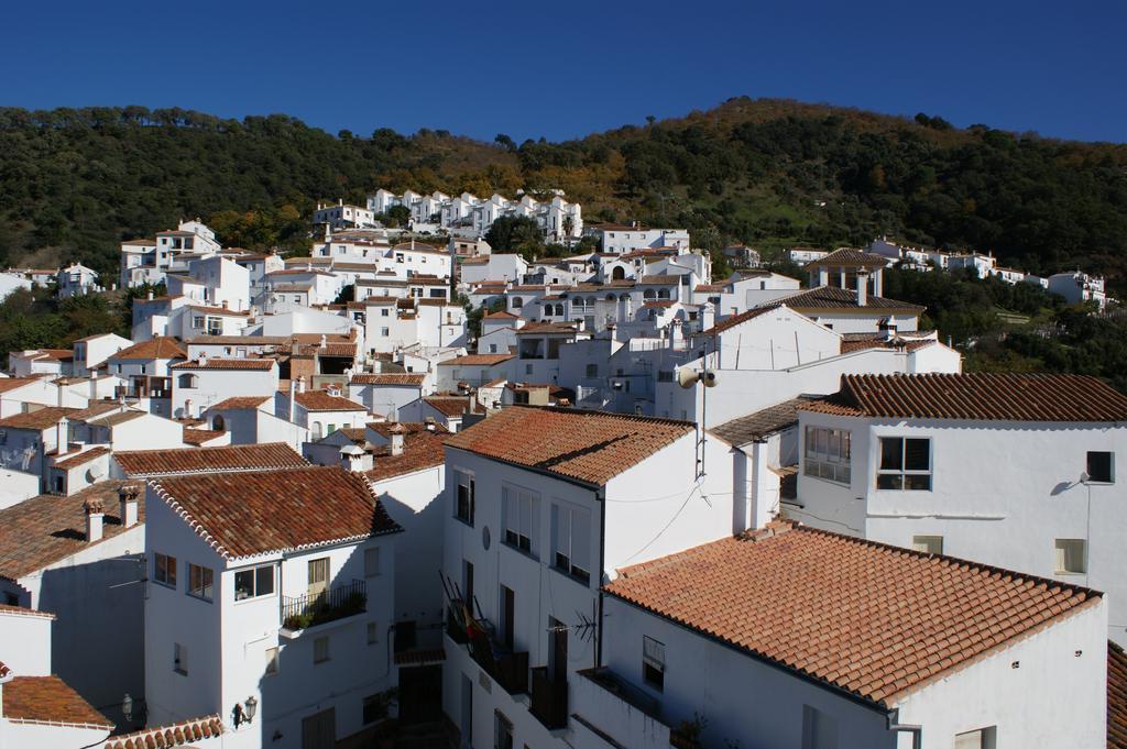 Casas Rurales Jardines Del Visir Genalguacil Buitenkant foto