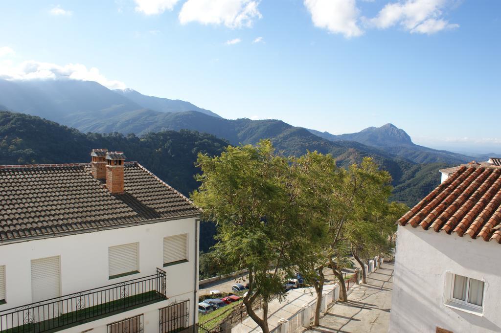 Casas Rurales Jardines Del Visir Genalguacil Buitenkant foto