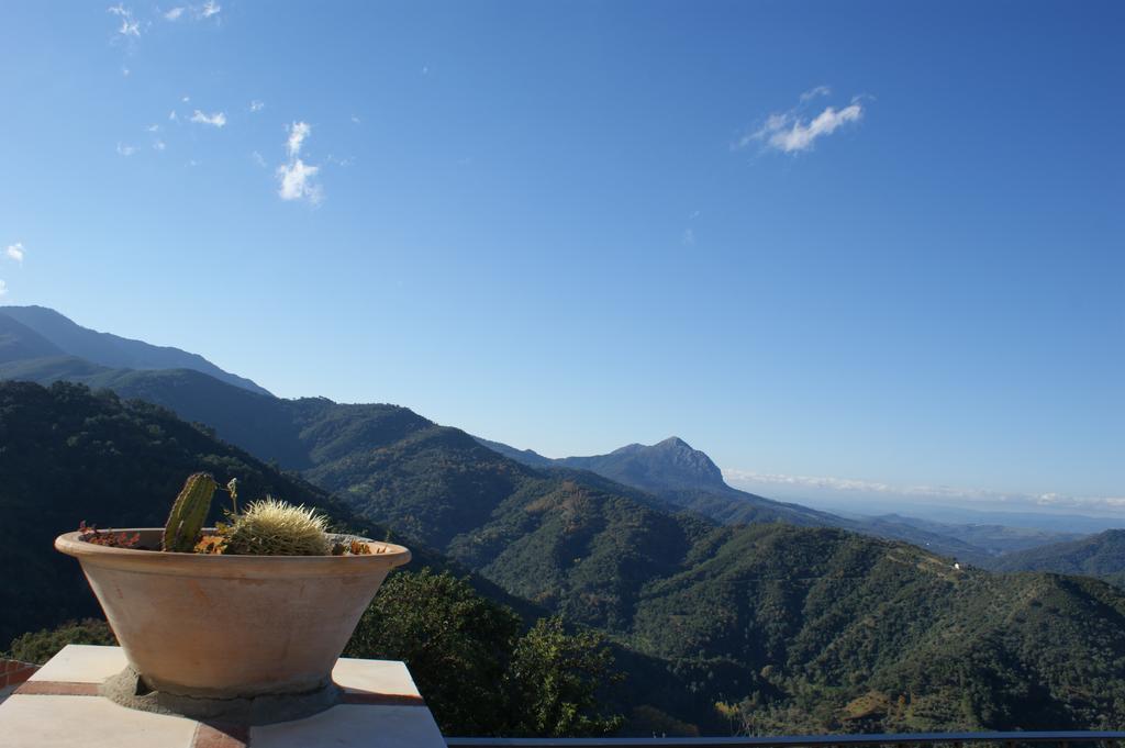 Casas Rurales Jardines Del Visir Genalguacil Buitenkant foto